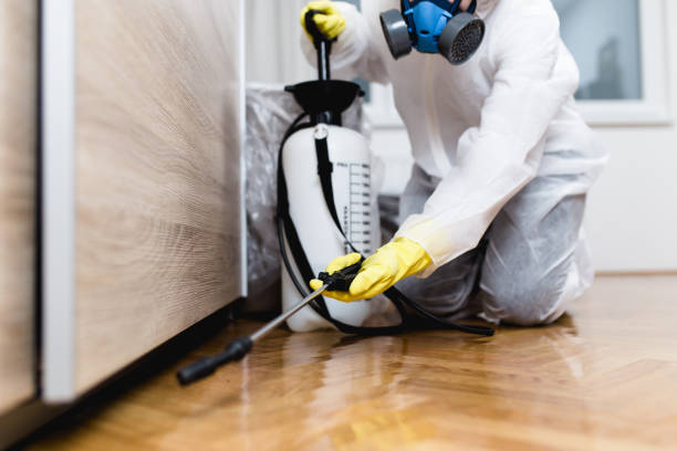 Best Pest Control Near Me  in Benton City, WA