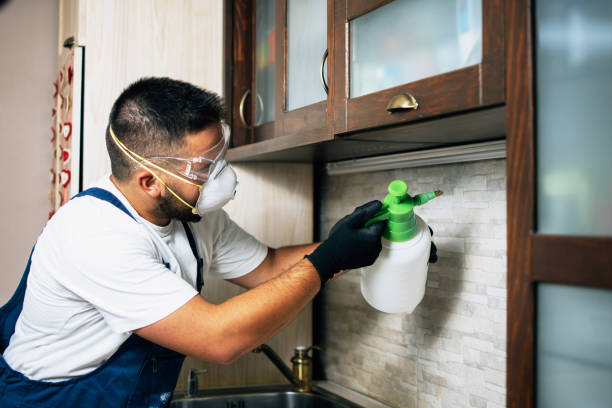 Best Rat Extermination Near Me  in Benton City, WA