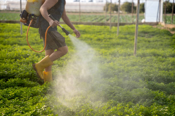 Pest Control for Restaurants in Benton City, WA