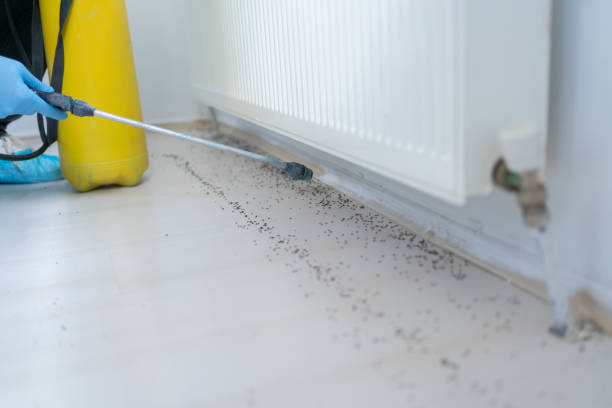 Best Commercial Pest Control Services  in Benton City, WA
