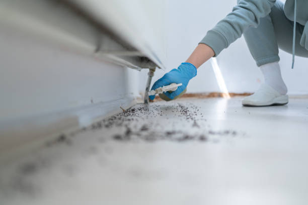 Reliable Benton City, WA Pest Control Solutions